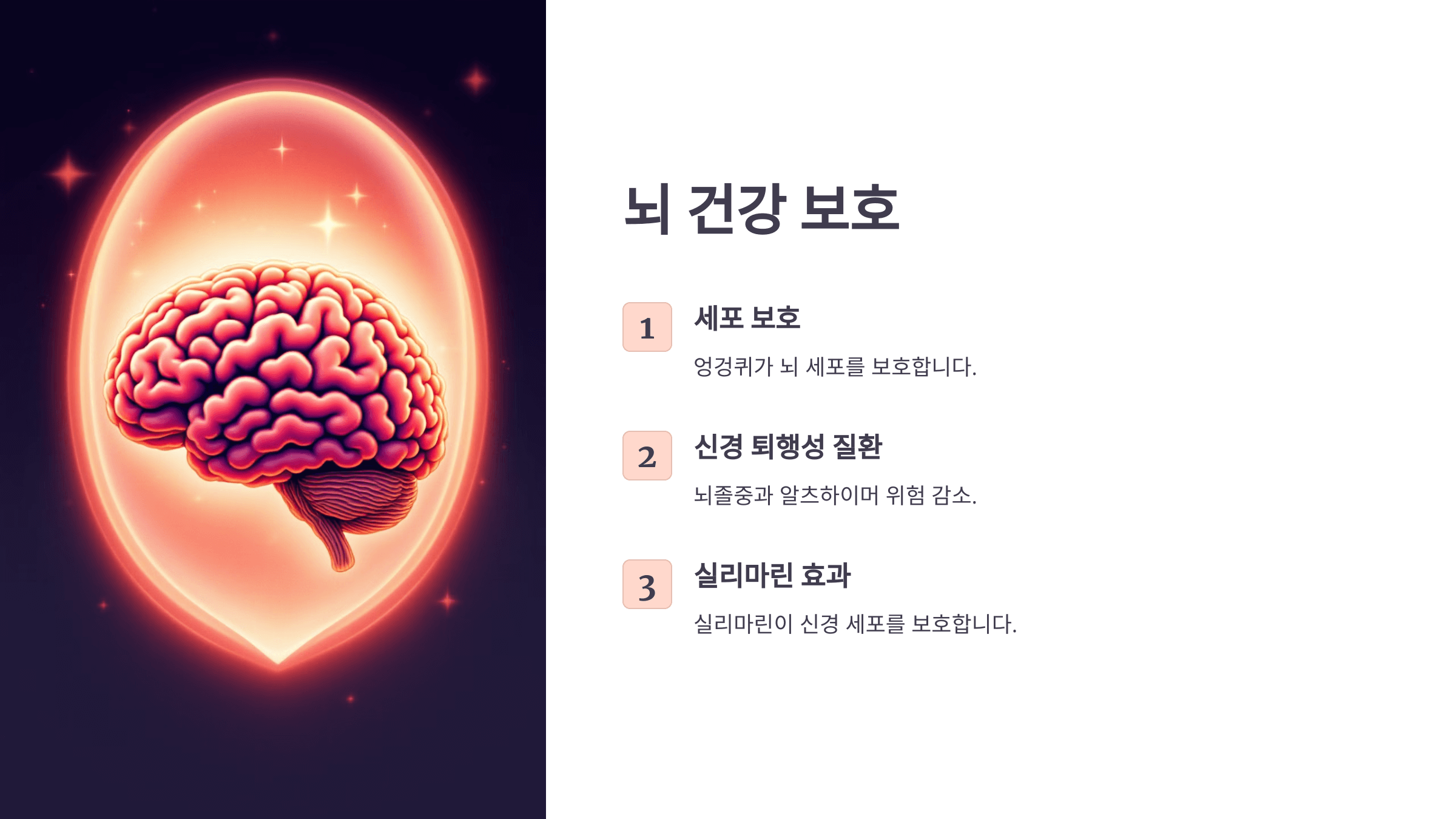 엉겅퀴와 관련된 사진입니다.