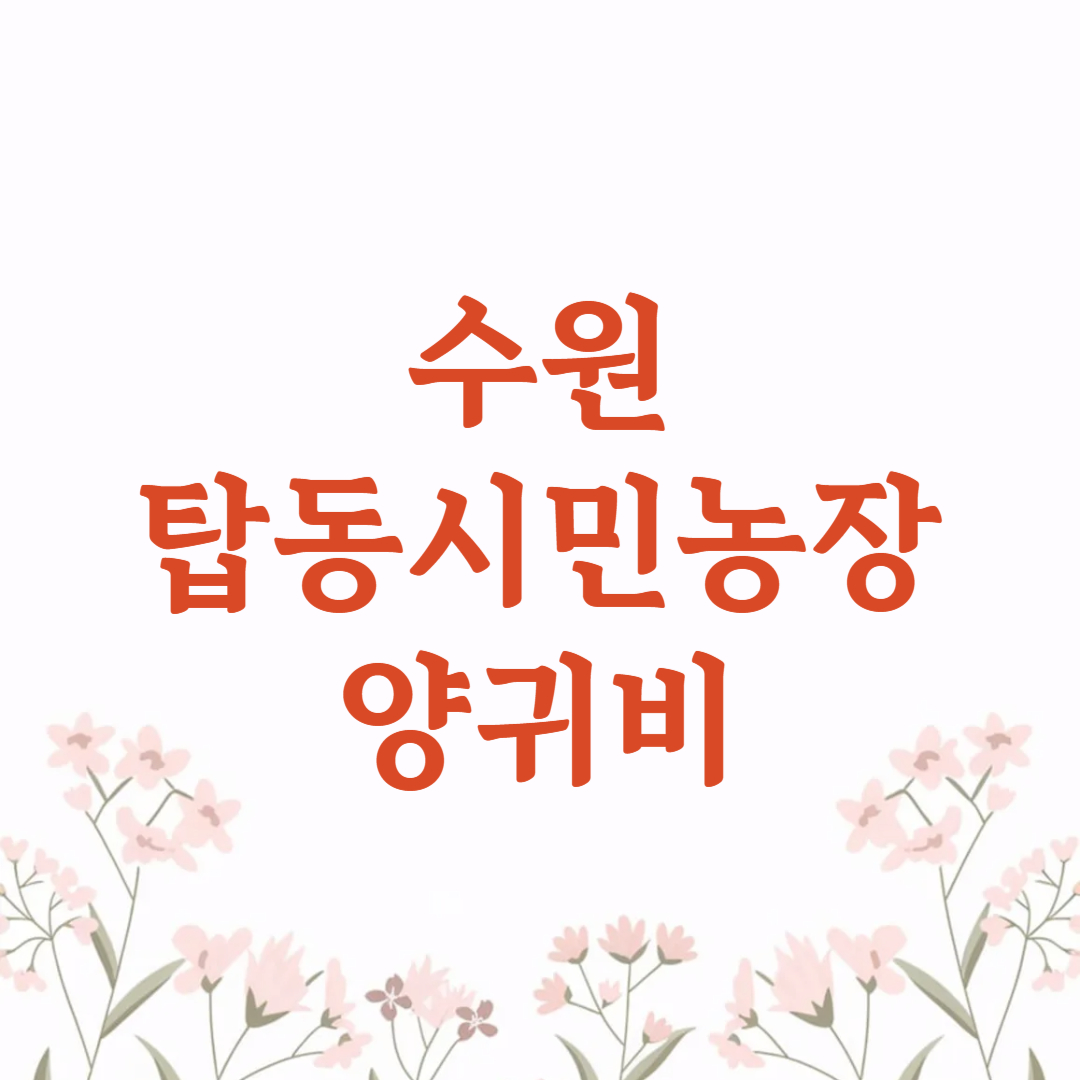 수원 탑동시민농장 양귀비