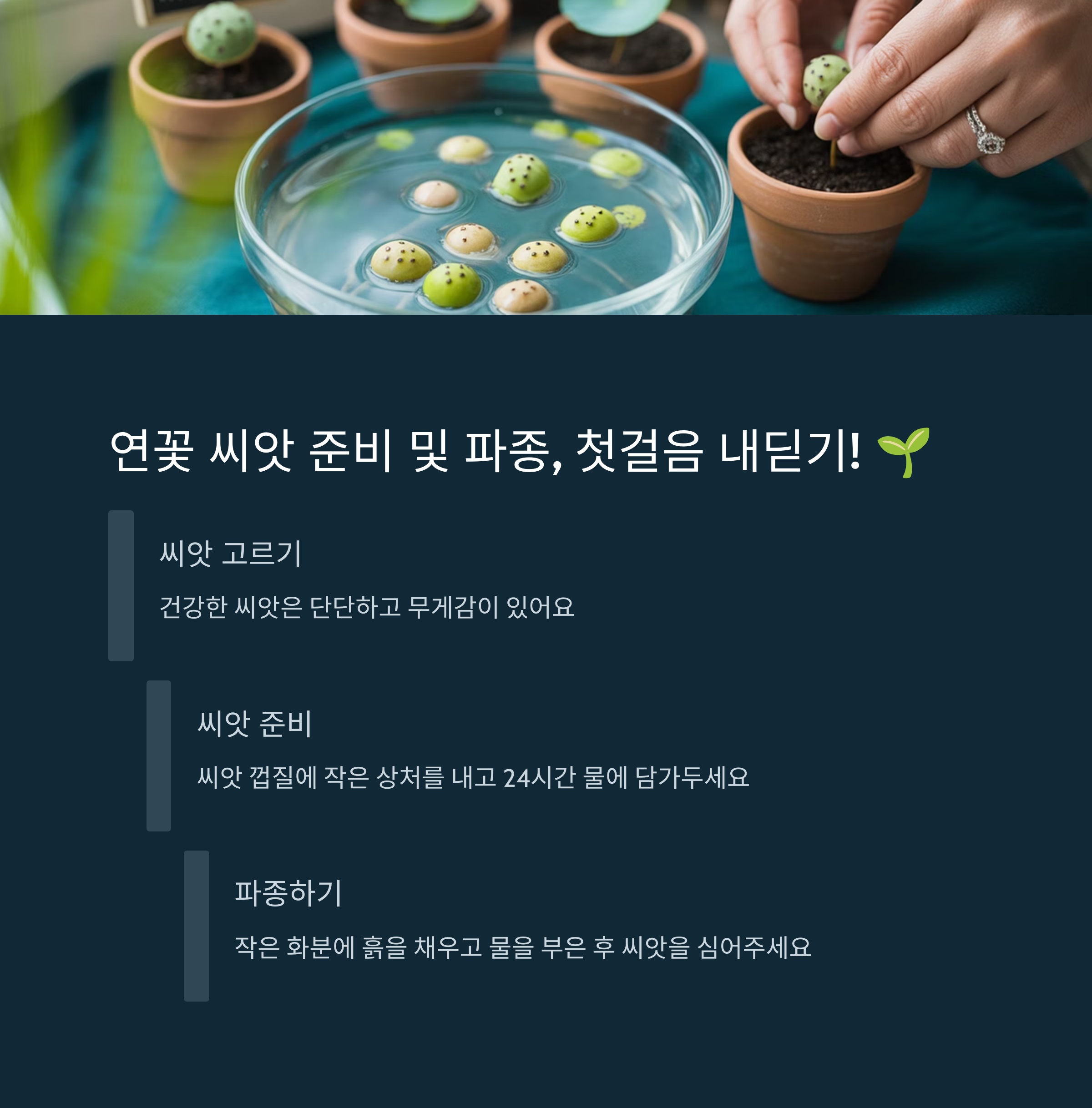 연꽃 씨앗 준비 및 파종, 첫걸음 내딛기