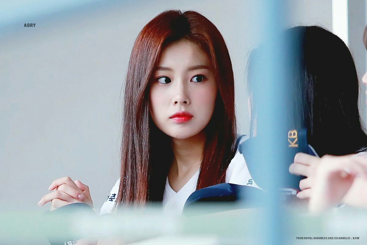 아이즈원 강혜원 몸매 키 아이즈원 강혜원 몸매 키