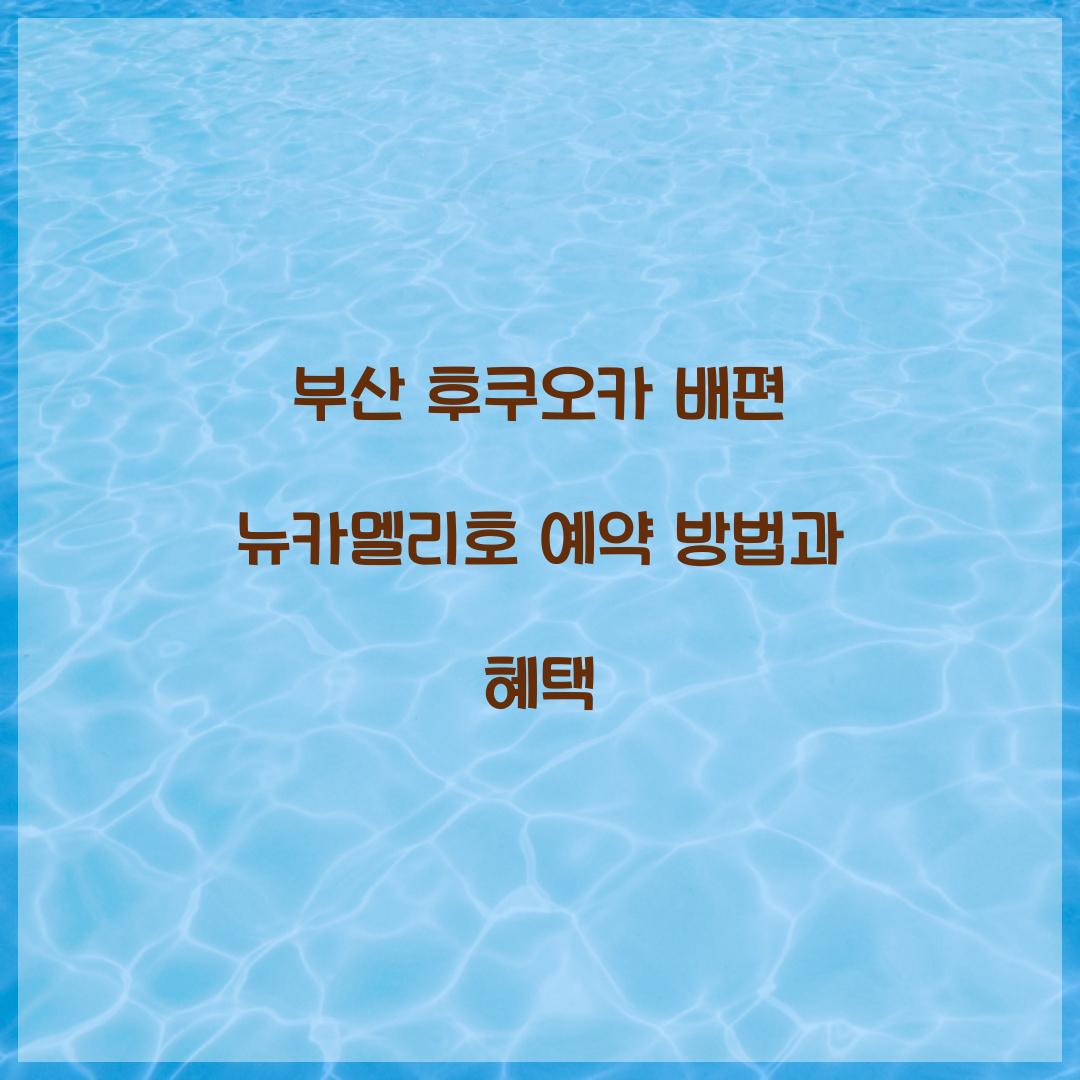 부산 후쿠오카 배편 뉴카멜리호