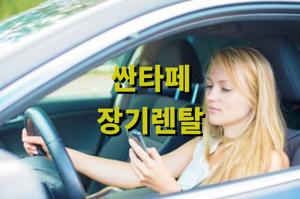 싼타페 장기렌탈