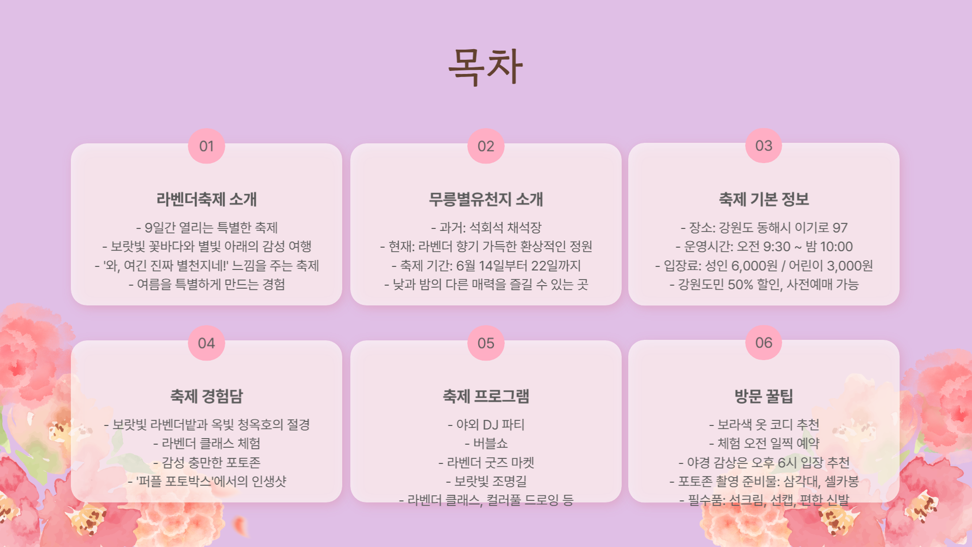 동해 무릉별유천지 라벤더축제