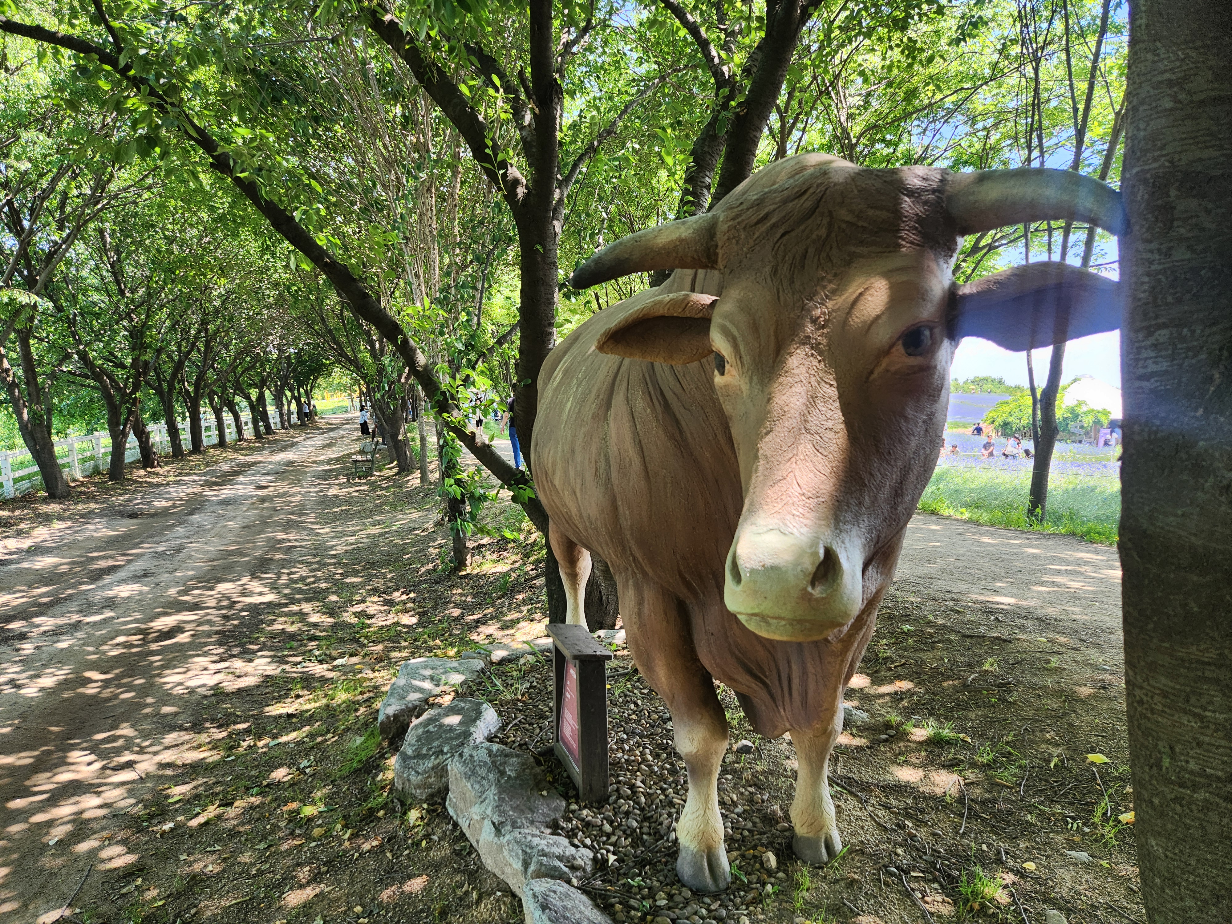 추석 연휴 9,900원으로 충청남도 여행, 충남 여행, 충남 관광, '충남투어패스'