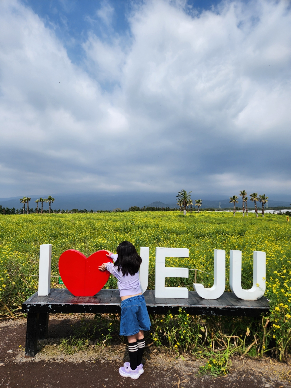 제주도 휴애리 유채꽃 풍경에서 딸이 찍은 사진