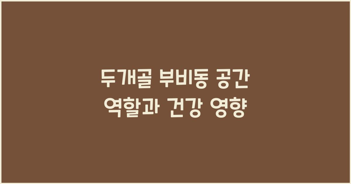 두개골 부비동 공간 역할