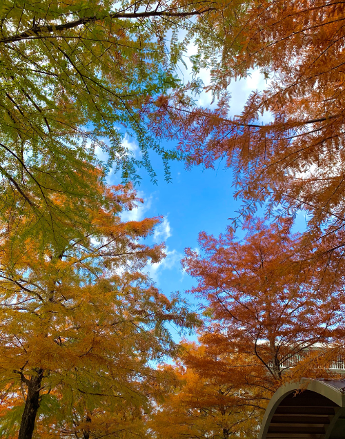 한밭수목원4