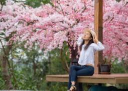 진해-군항제-벚꽃-축제-7