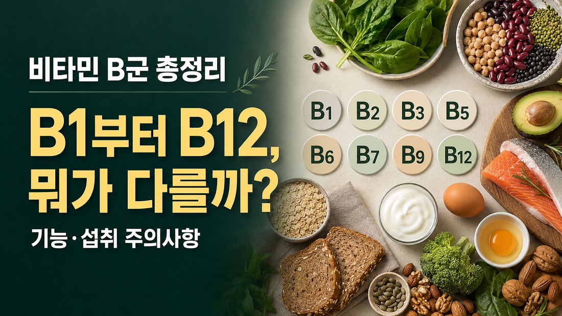 비타민 B군 표시와 달걀, 생선, 채소, 통곡물이 함께 놓인 건강 정보 대표이미지