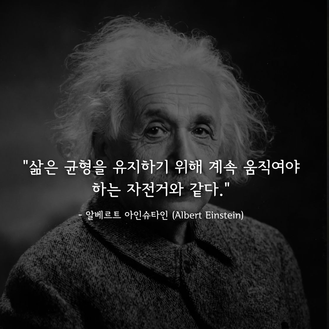 알베르트 아인슈타인 (Albert Einstein)명언