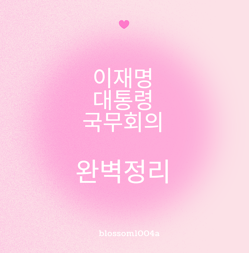 이재명 대통령 국무회의 완벽정리