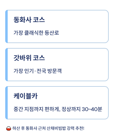대구 근교 산책&middot;달리기&middot;트레킹 명소 완벽 가이드 &amp;#124; 주말 액티비티 추천