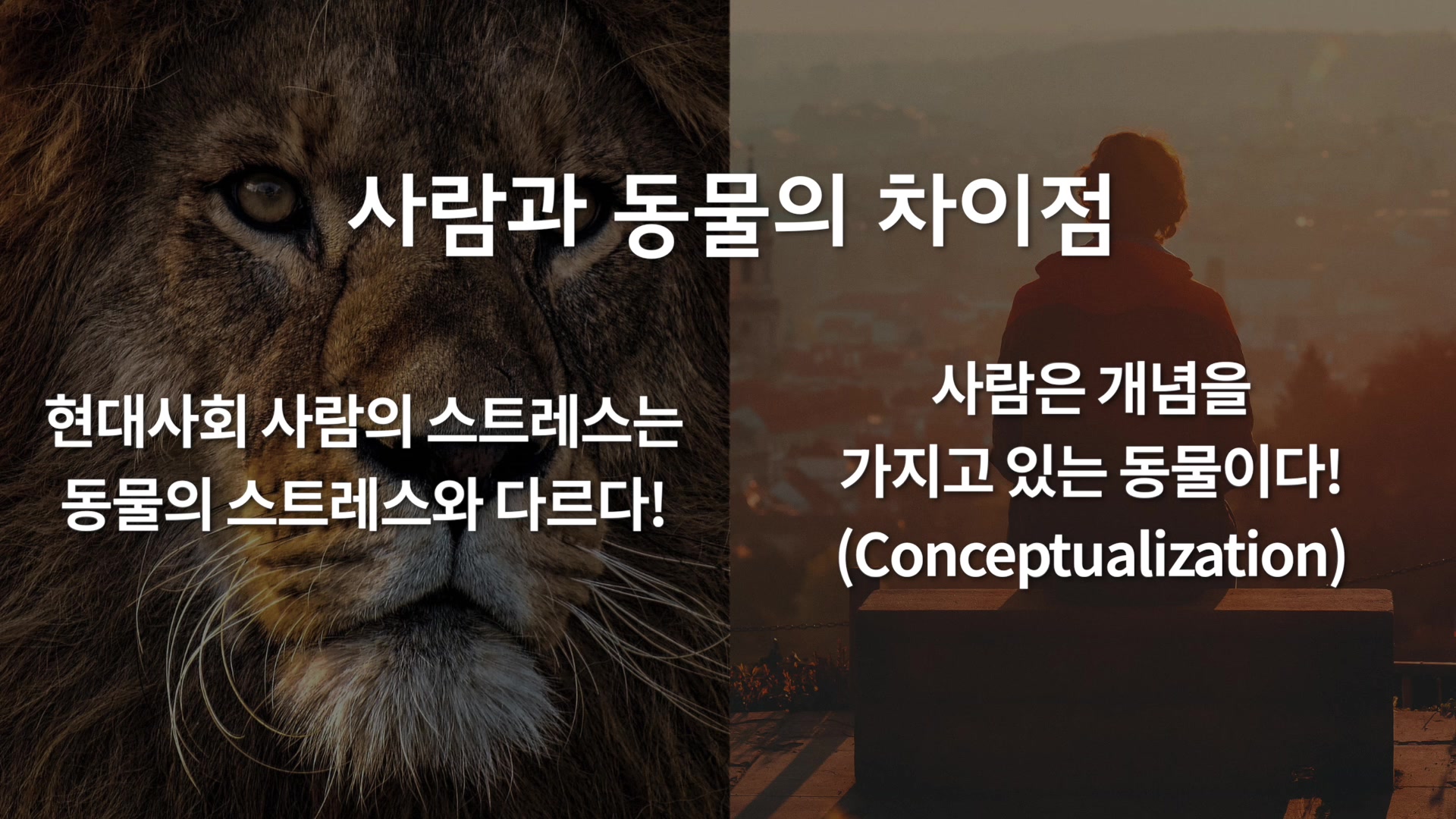 사람과 동물의 차이점