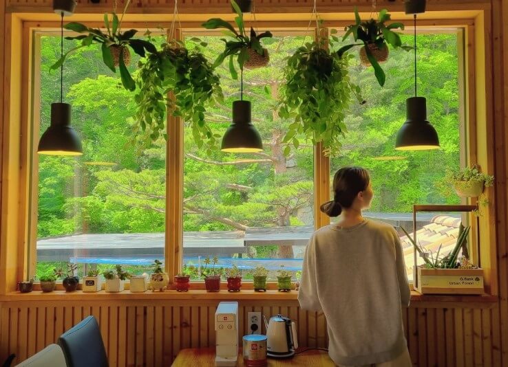 솔미 하우스 펜션