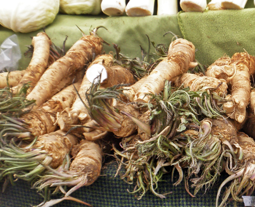 horseradish, 호스래디시, 호스래디시효능, 호스래디스먹는법,호스래디쉬,