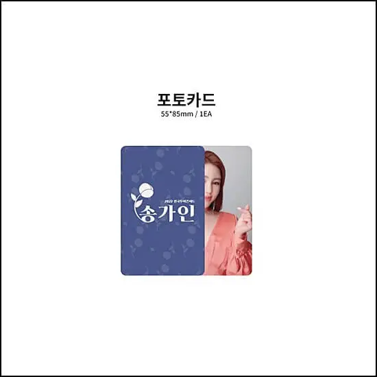 송가인콘서트티켓