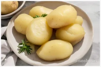 감자 싹나는 시기 파종 시기_23