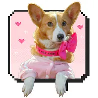 KBS 드라마 킥킥킥킥 몽이