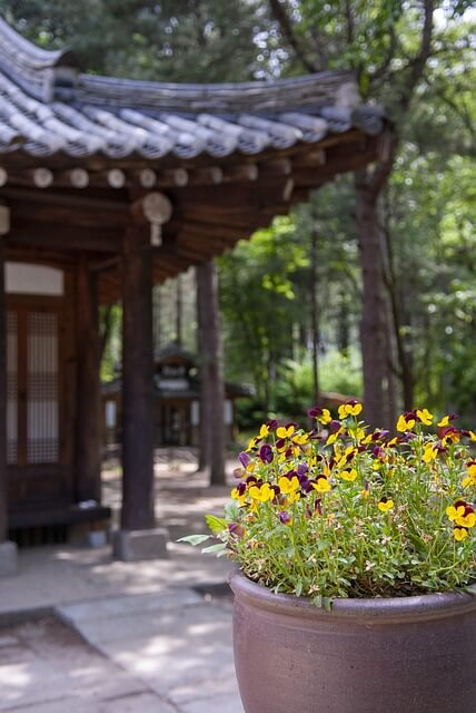 남이섬 입장료·배시간·주차정보 완벽 안내