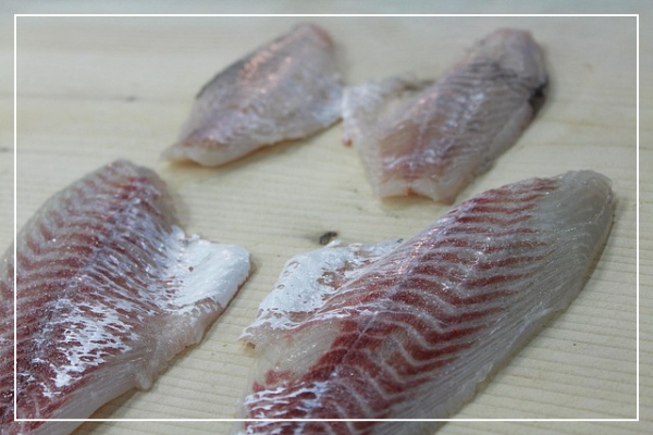 광어는 어떤 생선일까