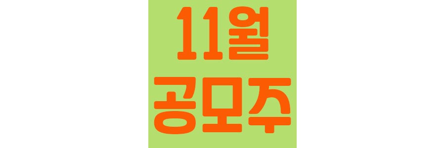 11월-공모주