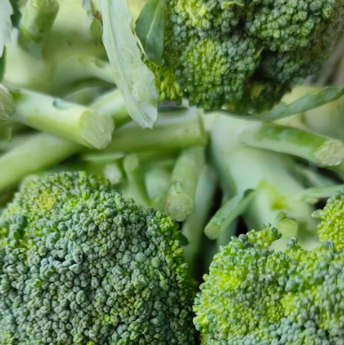 브로콜리 효능과 부작용 고르는법 칼로리