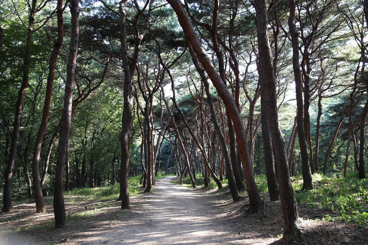 내가 실제로 가본 강북구 숨은 명소 5곳