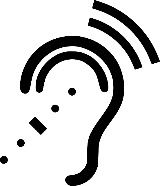 귀에서 삐소리가 나는 이유