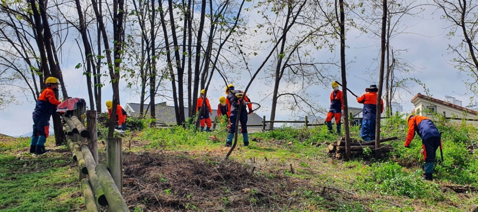 이미지 출처: AI 생성 이미지(콘텐츠 이해를 돕기 위한 시각 자료, 실제 인물을 특정하지 않은 AI 생성 이미지)
산림기능사가 숲 가꾸기와 산림 관리 작업을 수행하는 모습을 나타낸 이미지