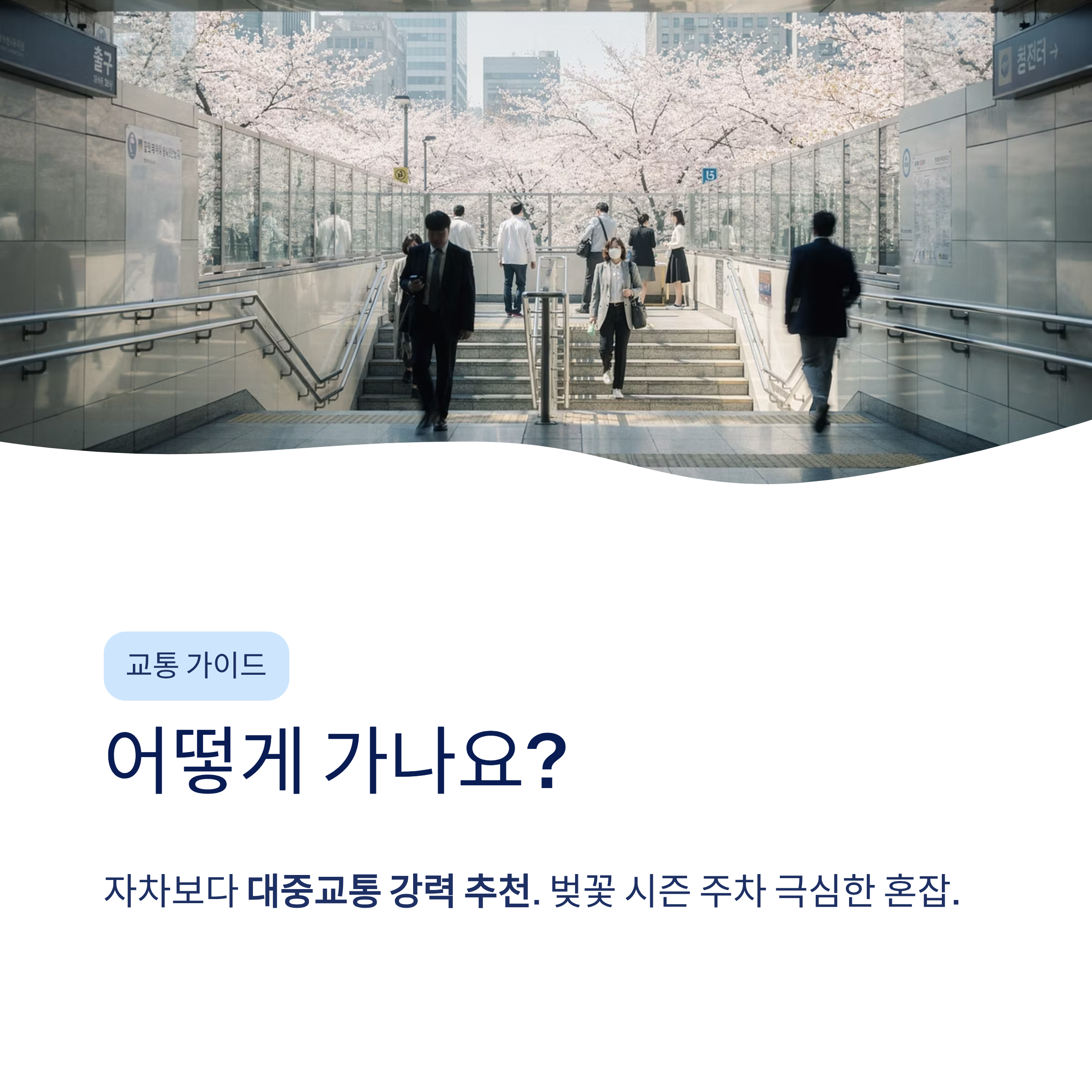 석촌호수 벚꽃 달리기 산책 코스 완벽 가이드❘2026 벚꽃축제·러닝·야경까지 총정리