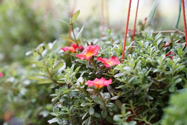 종묘 예약 관람 예약 종묘제례악 공연 예약_9