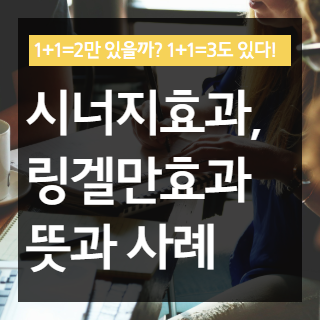 링겔만효과 시너지효과 포스팅