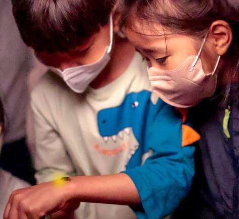 무주반딧불축제