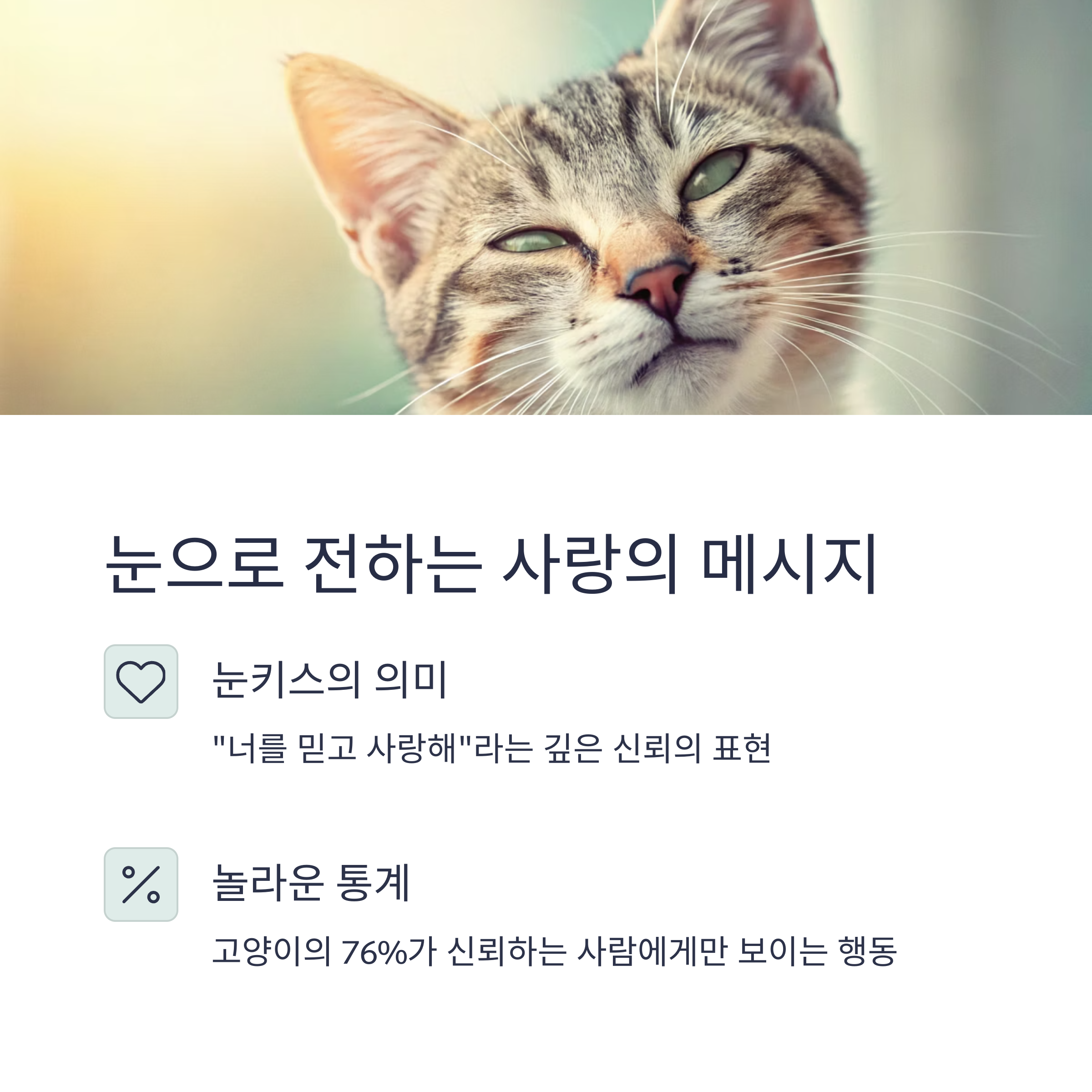 눈으로 전하는 사랑의 메시지