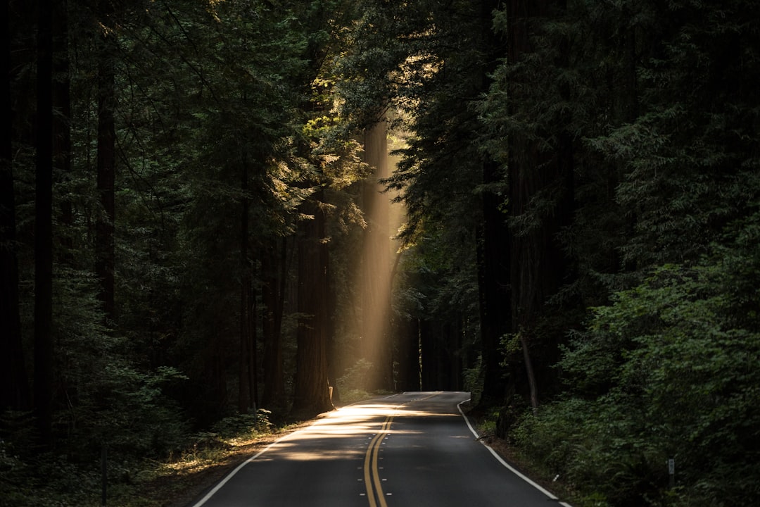 Light