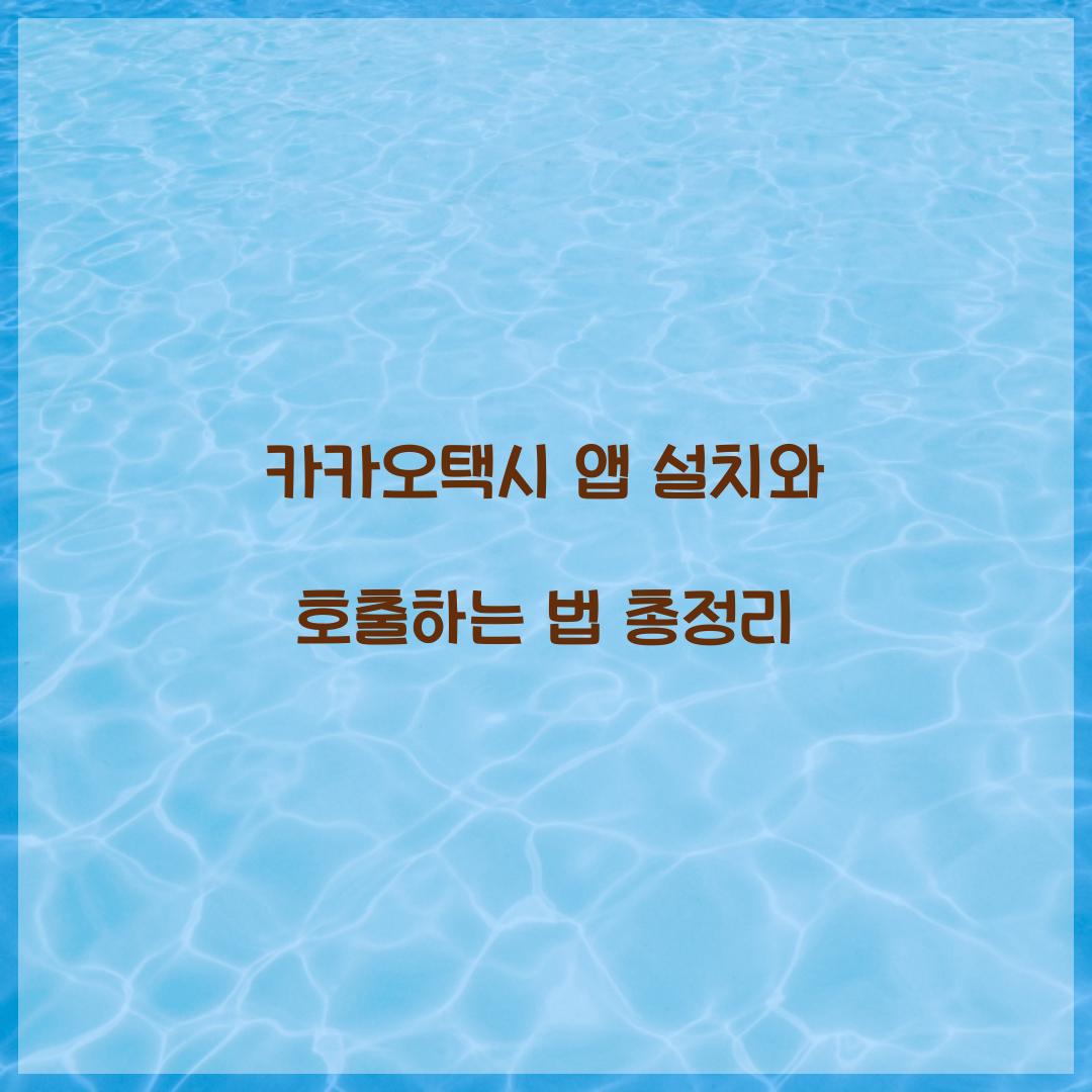 카카오택시 앱 설치