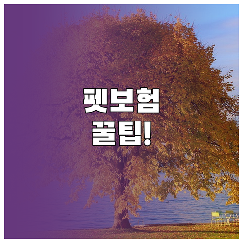 KB라이펫 등 펫보험 온라인 비교 방..