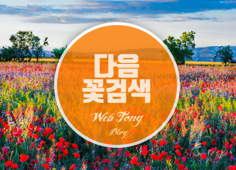 다음 꽃검색