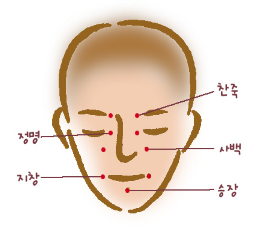 인체의 365혈 중에서 얼굴에 위치를 한 정명, 찬죽, 지창, 사백, 승장 경혈의 위치를 빨간 점으로 표시해 놓은 이미지 사진