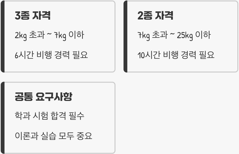 조금 더 전문적인 비행, 3종과 2종
