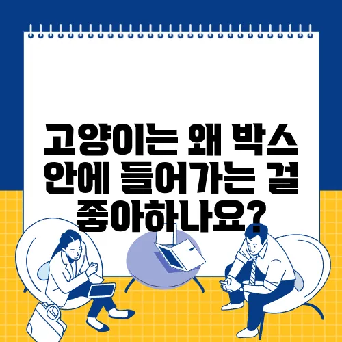 고양이는 왜 박스 안에 들어가는 걸 좋아하나요?