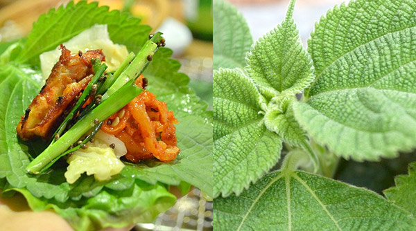 깻잎 효능