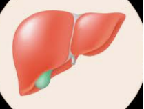 간이 좋지 않을 때