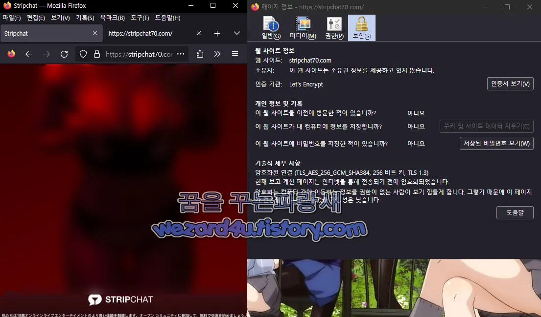 피싱 사이트 인증서 정보