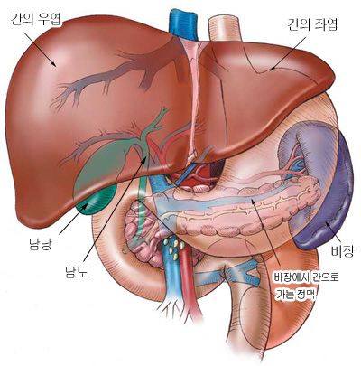 비장이란