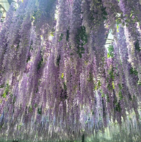 가평 베고니아 새정원 - 아이와 가볼만한 곳 추천, 후기