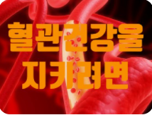 혈관 건광관리