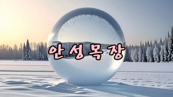 안성목장 일출 썸네일