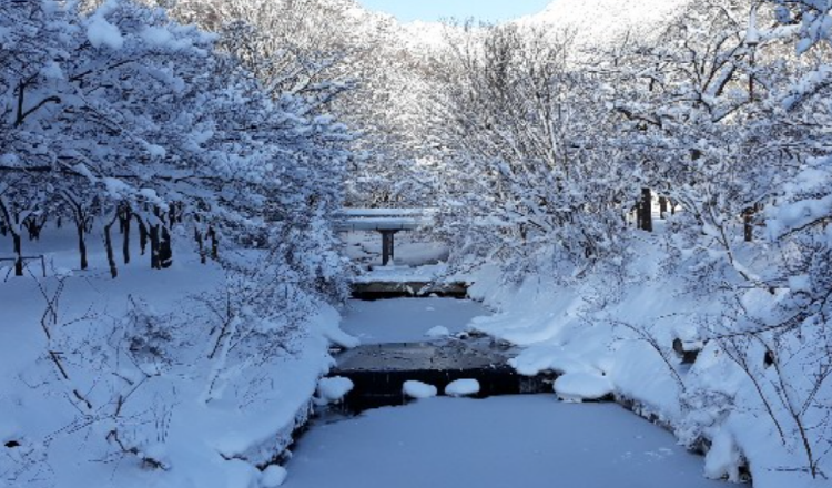 내장산 케이블카