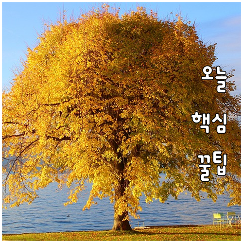 구미시 세자녀 가구 2025 의료비 ..